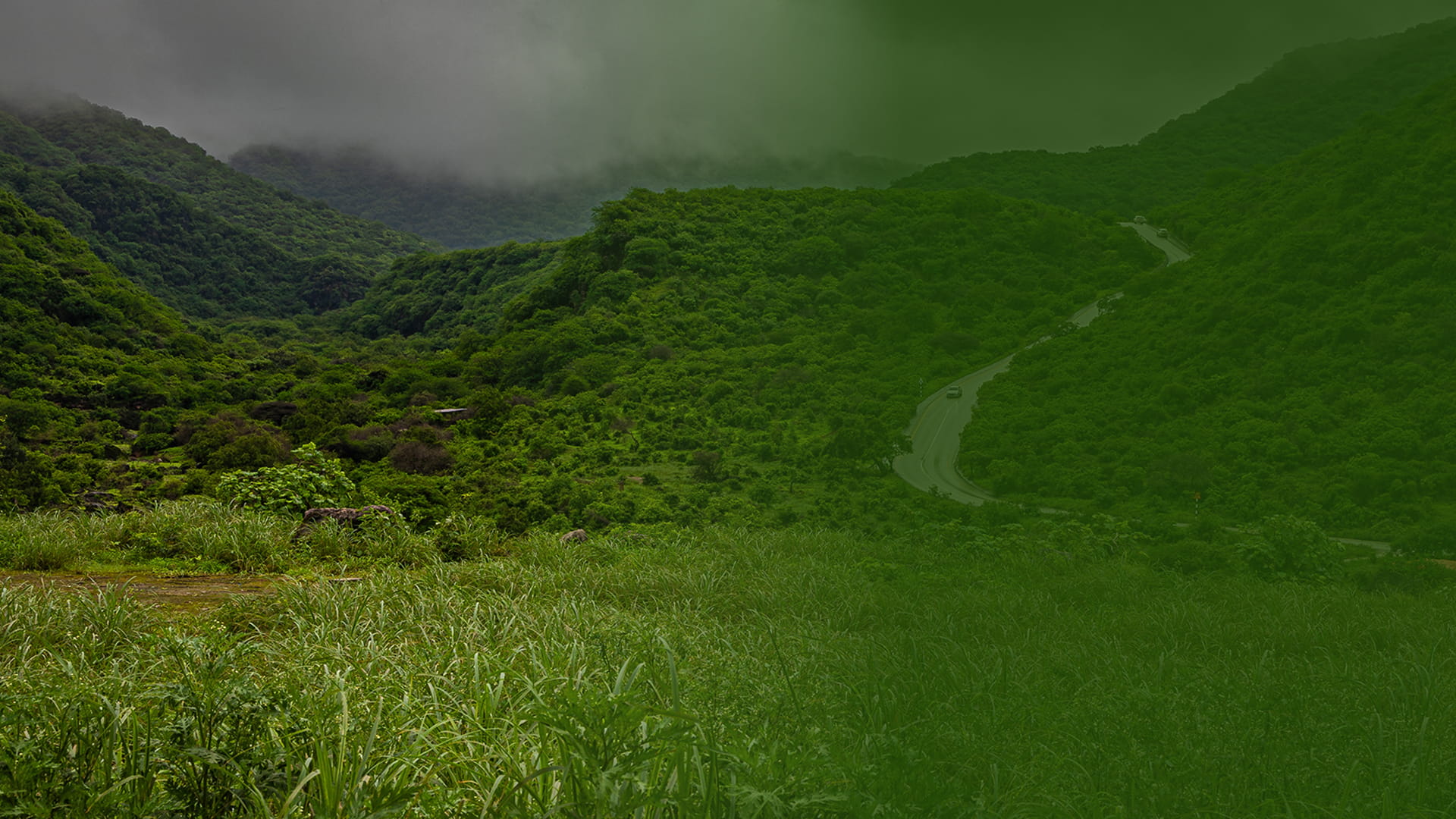 Misty green Dhofar mountain road